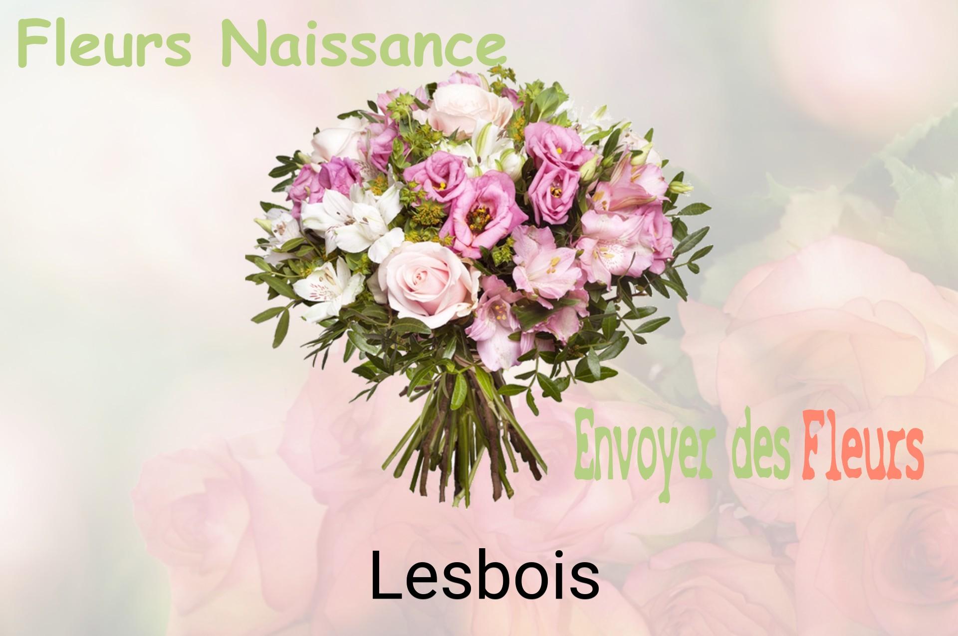 Bouquet de fleurs de naissance livré à Lesbois