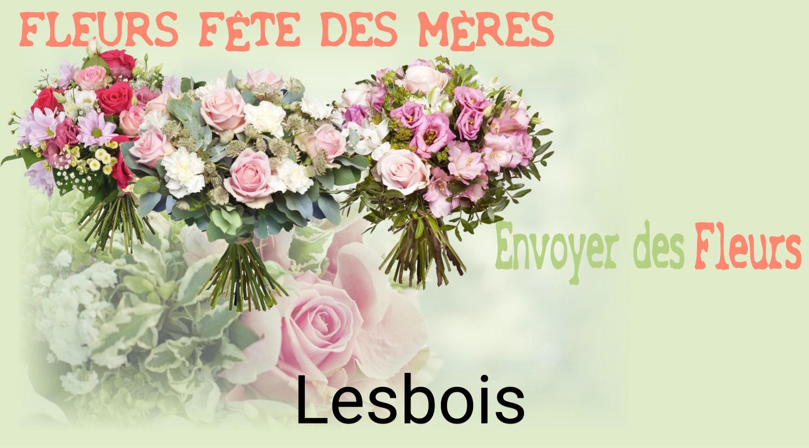 Bouquet de Fête des Mères livré à Lesbois